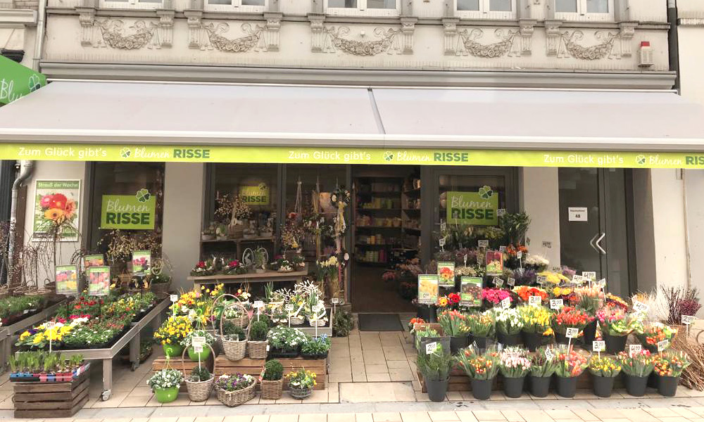 Blumenladen Paderborn Innenstadt Blumen Risse