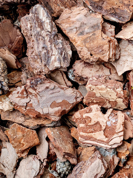 Blumen Risse, Sortiment, Garten, Erde, Braun, Beige, Schwarz, Pinienrinde, Rindenmulch, grob