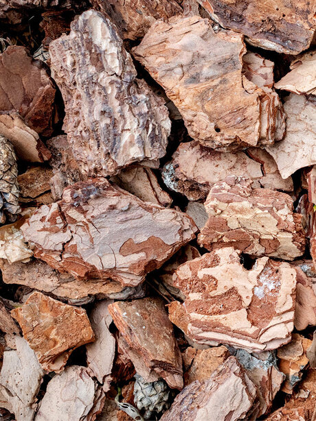 Blumen Risse, Sortiment, Garten, Erde, Braun, Beige, Schwarz, Pinienrinde, Rindenmulch, grob