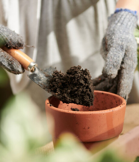 Blumen Risse, Sortiment, Garten, Erde, Braun, Beige, Grau, Blumenerde, Pflanzerde, Pflanztopf, Hand, Gartenwerkzeug, Kelle, Einpflanzen, Umtopfen