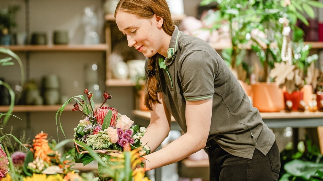 Blumen-Risse, Karriere, Pflanzen, Blumen, Gelb, Gruen