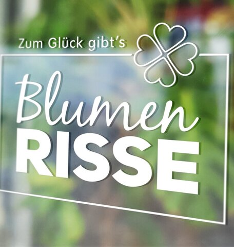 Blumen-Risse, Service, Weiss, Gruen