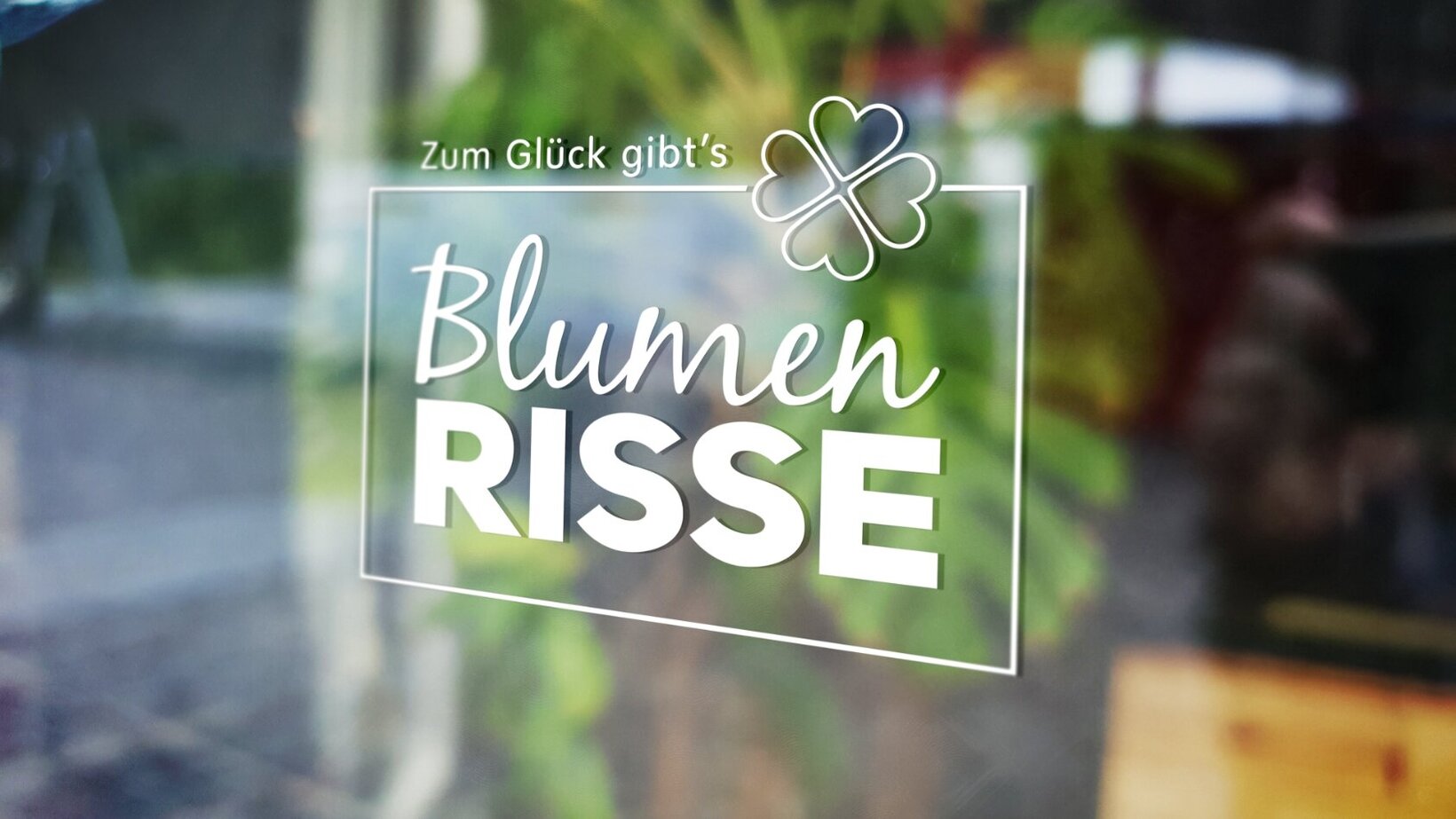 Blumen-Risse, Service, Unternehmen