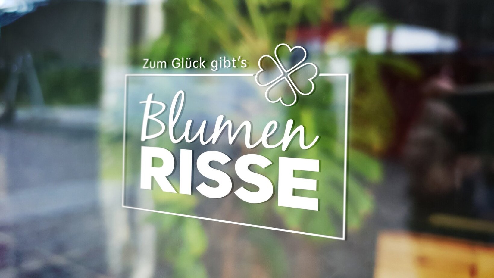 Blumen-Risse, Service, Unternehmen