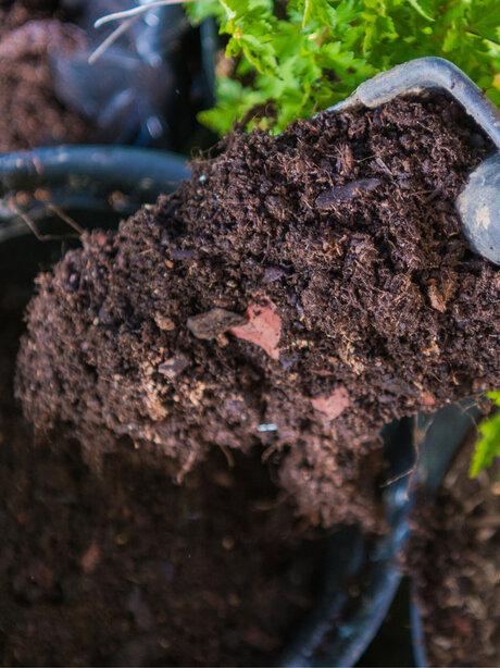 Blumen Risse, Sortiment, Garten, Erde, Braun, Beige, gelb, Schwarz, Blumenerde, Pflanzenerde, Garten, Hand, Pflanzschippe, Erde, Pflanztopf, Pflanzen