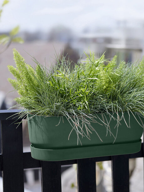 Blumen Risse, Sortiment, Pflanzen, Uebertoepfe, Pflanzgefaesse, Balkonkasten, Balkon, Skyline