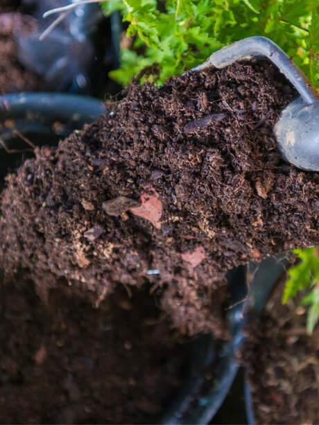 Blumen Risse, Sortiment, Garten, Erde, Braun, Beige, gelb, Schwarz, Blumenerde, Pflanzenerde, Garten, Hand, Pflanzschippe, Erde, Pflanztopf, Pflanzen