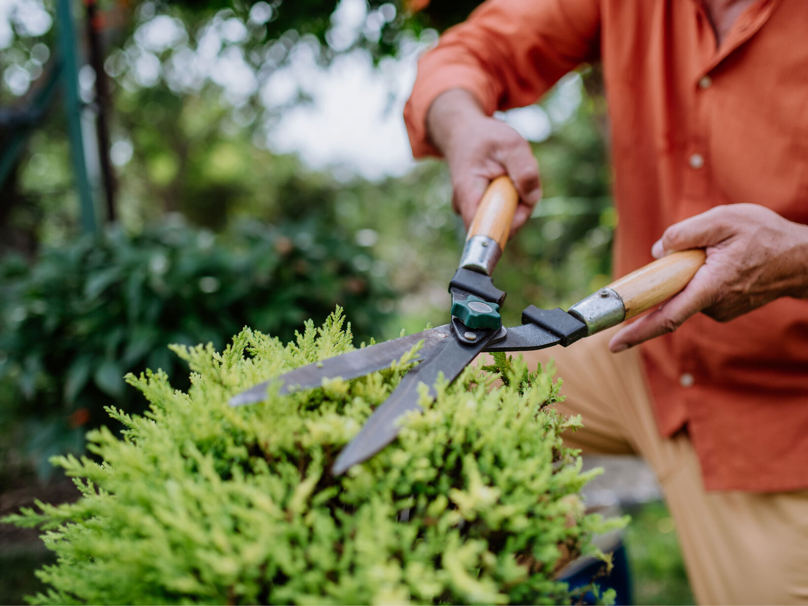 Blumen Risse, Sortiment, Garten, Gartentechnik, Gartenwerkzeug, Gruen, Rot, Beige, Grau, Gartenschere, Heckenschere, Garten, Person, Pflanze schneiden, Pflegen