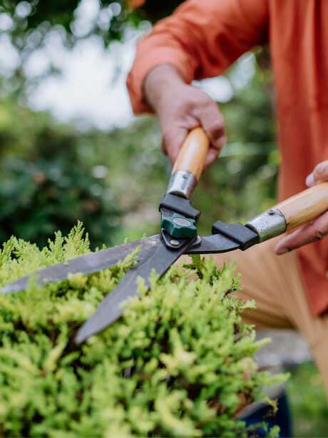 Blumen Risse, Sortiment, Garten, Gartentechnik, Gartenwerkzeug, Gruen, Rot, Beige, Grau, Gartenschere, Heckenschere, Garten, Person, Pflanze schneiden, Pflegen