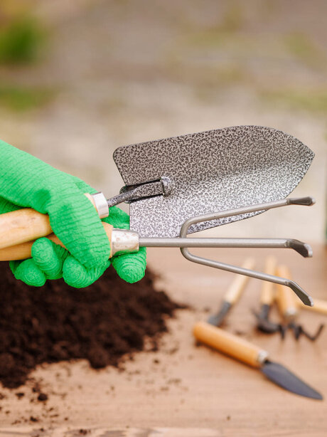 Blumen Risse, Sortiment, Gartentechnik, Gartenwerkzeuge, Kelle, Hacke, Hand, Handschuh, Grün, Holztisch, Pflanzen, Einpflanzung, Vorbereitung