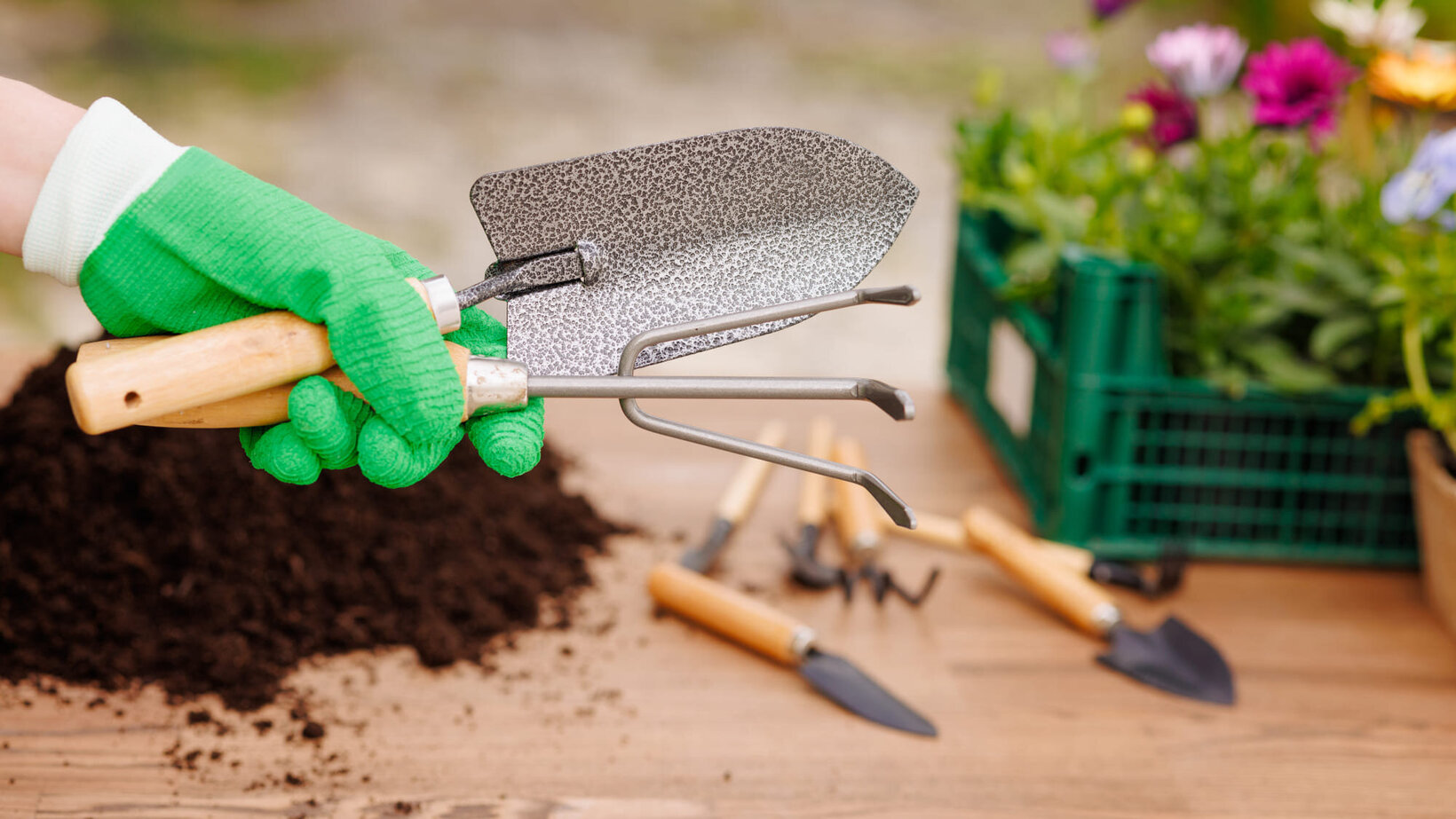 Blumen Risse, Sortiment, Gartentechnik, Gartenwerkzeuge, Kelle, Hacke, Hand, Handschuh, Grün, Holztisch, Pflanzen, Einpflanzung, Vorbereitung