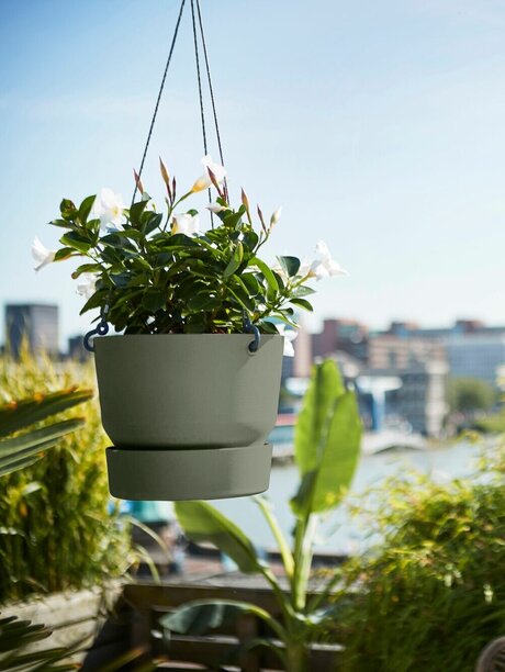 Blumen Risse, Sortiment, Pflanzen, Uebertoepfe, Pflanzgefaesse, Hängeampel, Ampel, Skyline