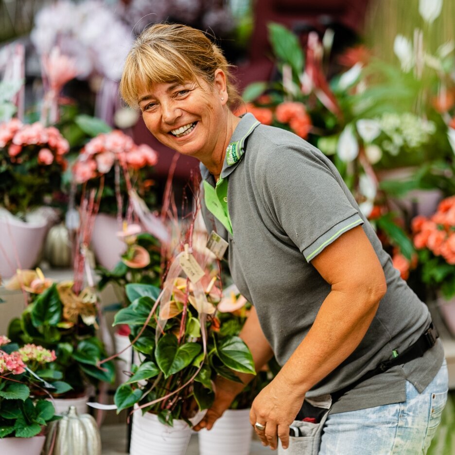 Blumen-Risse, Karriere, Blumen, Person, Gruen, Orange, Rosa