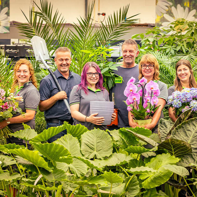 Blumen-Risse, Karriere, Gruen, Grau, Blau, Rot, Rosa, Florist, Gaertner, Abteilungsleiter, Kaufmaennischer, Mitarbeiter, Arbeiten-bei-blumen-Risse
