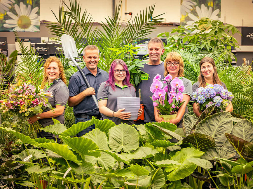 Blumen-Risse, Karriere, Gruen, Grau, Blau, Rot, Rosa, Florist, Gaertner, Abteilungsleiter, Kaufmaennischer, Mitarbeiter, Arbeiten-bei-blumen-Risse