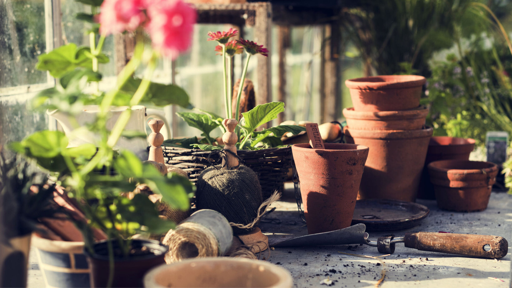 Blumen Risse, Sortiment, Garten, Gartentechnik, Gartenhelfer, Gruen, Braun, Pink, Grau, Gartentechnik, Blumentoepfe, Tontoepfe, Garn, Pflanzen, Pflanztisch, Gartenkelle
