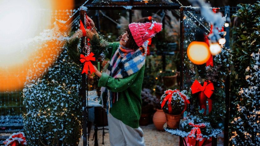 Blumen-Risse, Ratgeber, Ratgeber, Schnee, Weihnachten, Schleifen, Geschenke